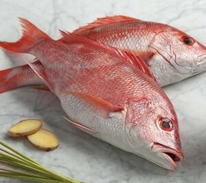 Red Snapper / Chempalli / Rane (Large) (Whole fish size 2kg to 5kg)