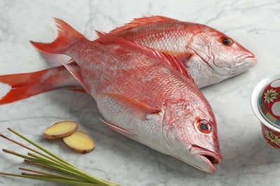 Red Snapper / Chempalli / Rane (Large) (Whole fish size 2kg to 5kg)