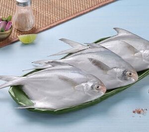 White Pomfret / Silver Pomfret / Avoli (200g to 300g) (Whole Fish 200g to 300g)