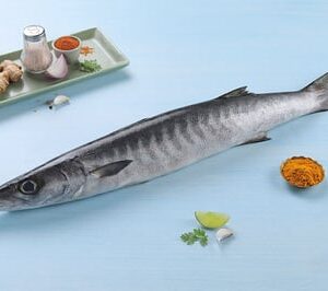 Barracuda / Cheelavu / Thinda (Large) (Whole fish size 2kg to 5kg)