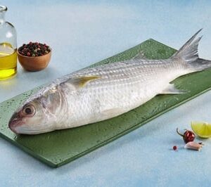 Grey Mullet / Thirutha / Bhangor (Whole fish 300g to 2kg)