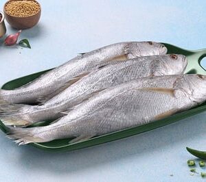 Silver Croaker / Kora / Bhola / ভোলা (Whole Fish 50g to 300g)